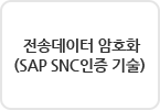 전송데이터 암호화 (SAP SNC인증 기술)